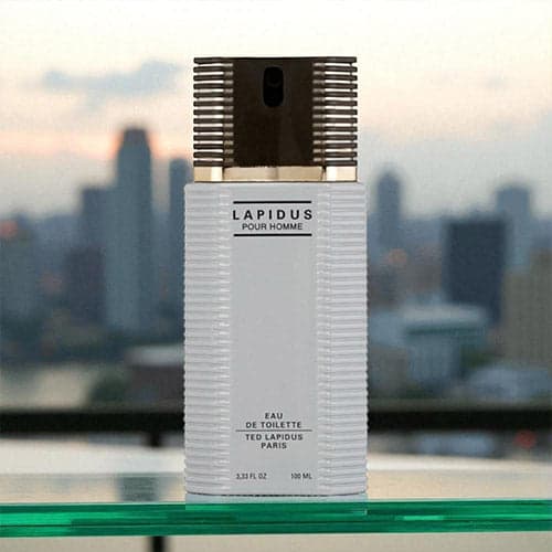 Ted Lapidus (Tester) EDT 100 ML (H)