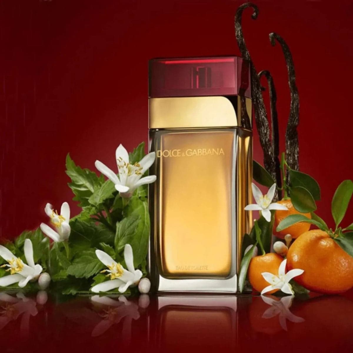 Rojo Dolce & Gabbana EDT 100 ML (M) 2