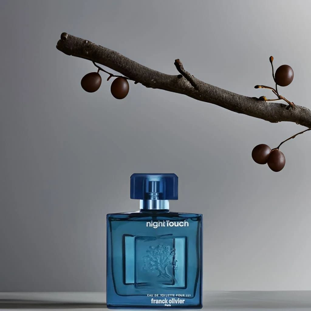 Franck Olivier Night Touch Franck Oliver EDT 100 ML (H) 2